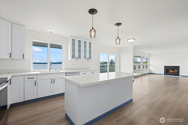 9360 SE Southworth Dr, Port Orchard, WA 98366 - kitchen with glass insert cabinets, white cabinetry, a sink, and wood finished floors
