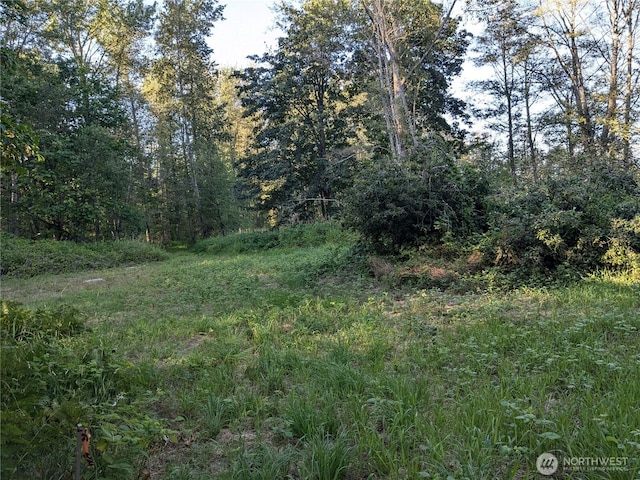 0XX Lampman Rd, Ferndale, WA 98248 - photo 1