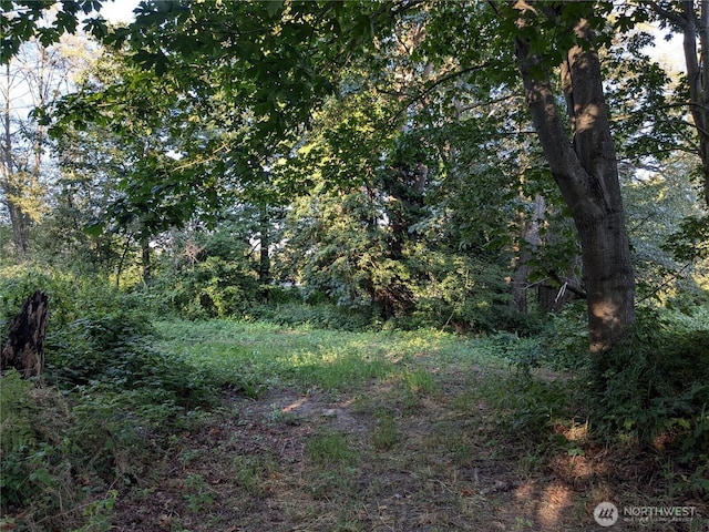 0XX Lampman Rd, Ferndale, WA 98248 - photo 2
