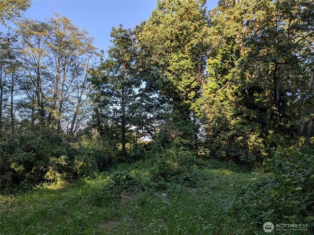 0XX Lampman Rd, Ferndale, WA 98248 - photo 3