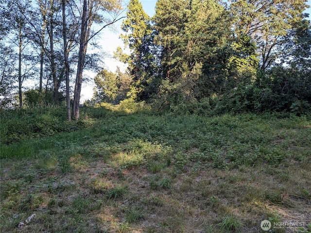 0XX Lampman Rd, Ferndale, WA 98248 - photo 5