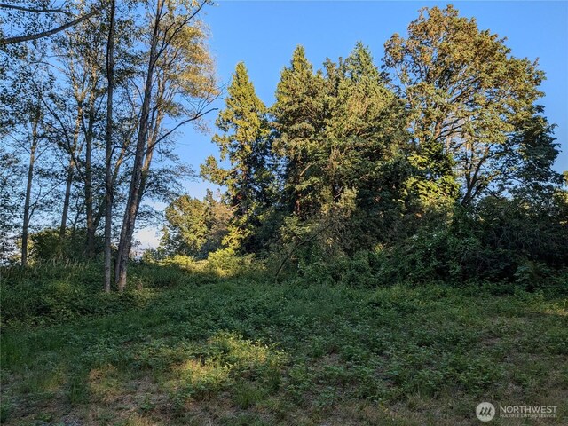 0XX Lampman Rd, Ferndale, WA 98248 - photo 6