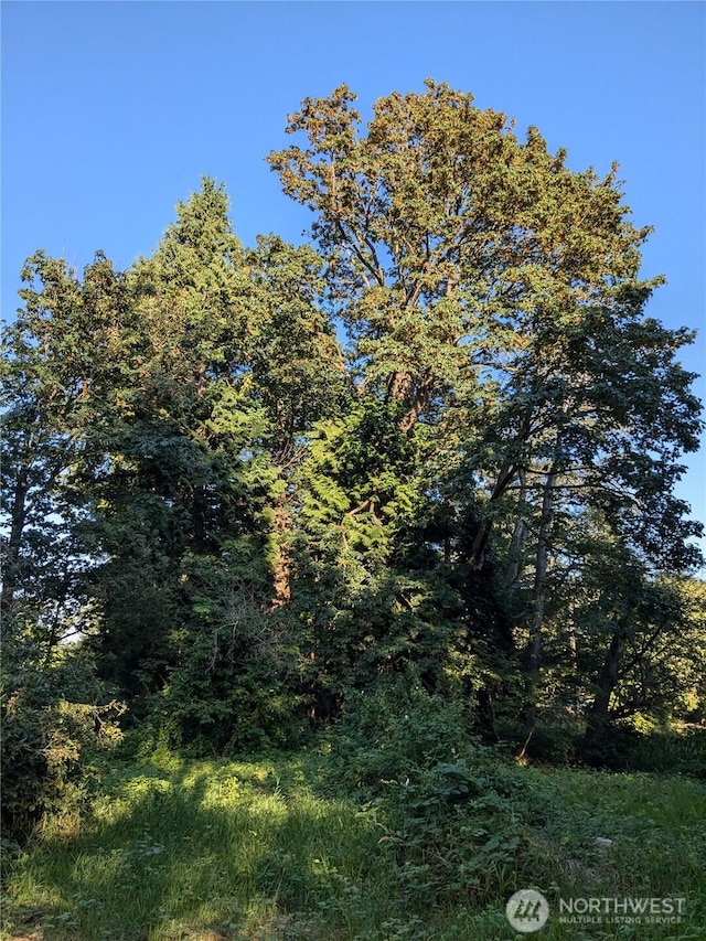 0XX Lampman Rd, Ferndale, WA 98248 - photo 7