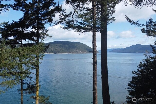 218 Pass View Rd, Decatur Island, WA 98221 - water view featuring a mountain backdrop