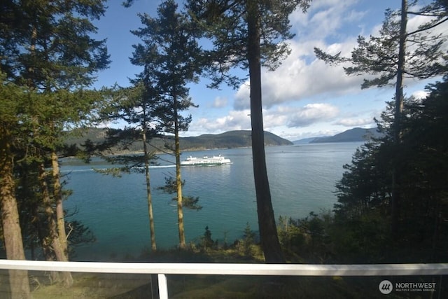 218 Pass View Rd, Decatur Island, WA 98221 - water view with a mountainous background