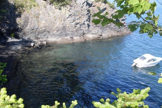 218 Pass View Rd, Decatur Island, WA 98221 - water view