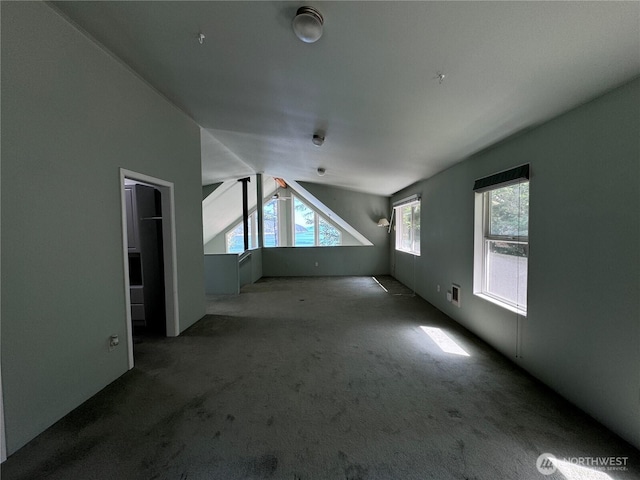 218 Pass View Rd, Decatur Island, WA 98221 - additional living space with carpet floors and vaulted ceiling
