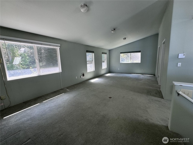 218 Pass View Rd, Decatur Island, WA 98221 - carpeted spare room with vaulted ceiling