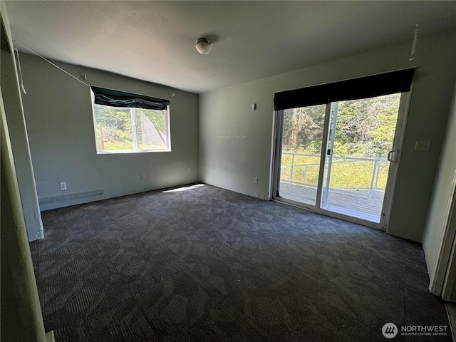 218 Pass View Rd, Decatur Island, WA 98221 - view of carpeted spare room