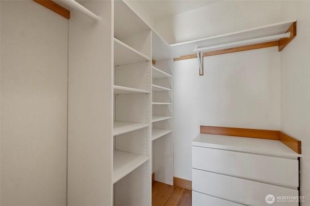 8996 Dearborn Ave, Blaine, WA 98230 - spacious closet featuring wood finished floors