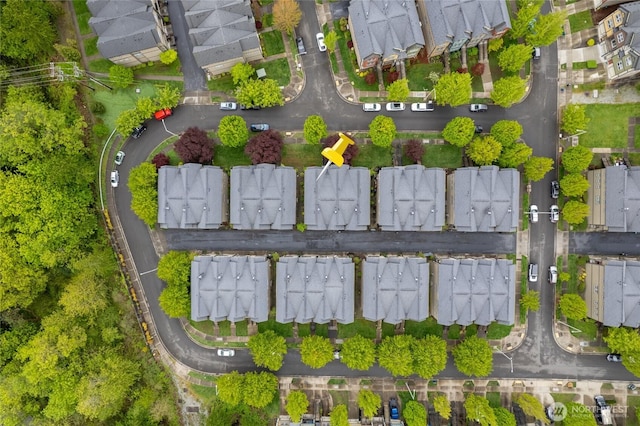 bird's eye view