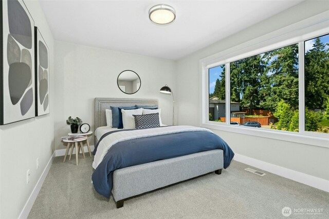 10284 133rd Ct NE, Redmond, WA 98033 - bedroom with multiple windows, carpet floors, and baseboards