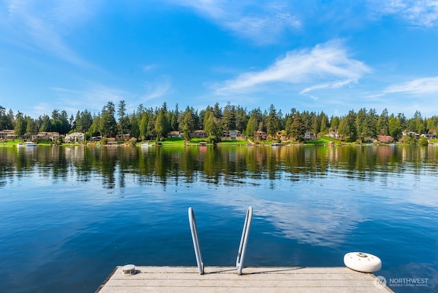 view of dock featuring a water view