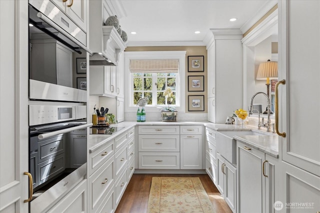 kitchen featuring a sink, white cabinetry, light stone counters, crown molding, and dark wood-type flooring