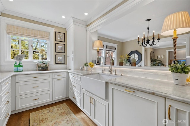kitchen with wood finished floors, crown molding, white cabinetry, and a sink
