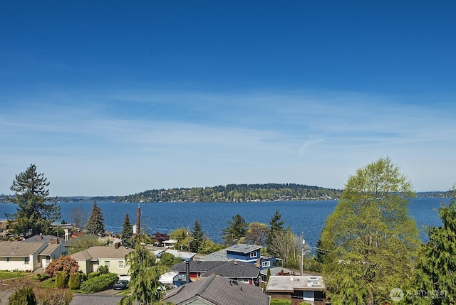 8536 S 114th St, Seattle, WA 98178 - view of water feature