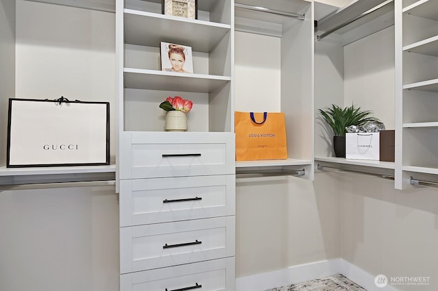 8536 S 114th St, Seattle, WA 98178 - view of spacious closet