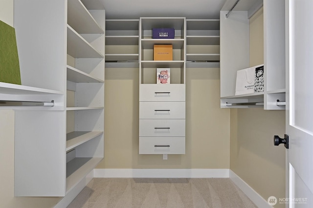 8536 S 114th St, Seattle, WA 98178 - walk in closet featuring carpet flooring