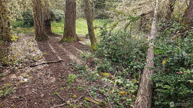 10608 Suncrest Dr, Anderson Island, WA 98303