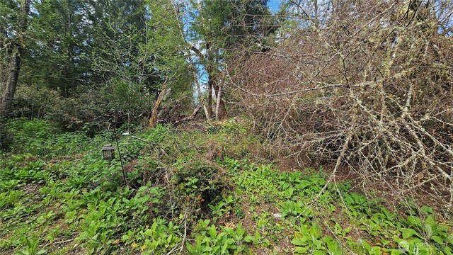 10608 Suncrest Dr, Anderson Island, WA 98303