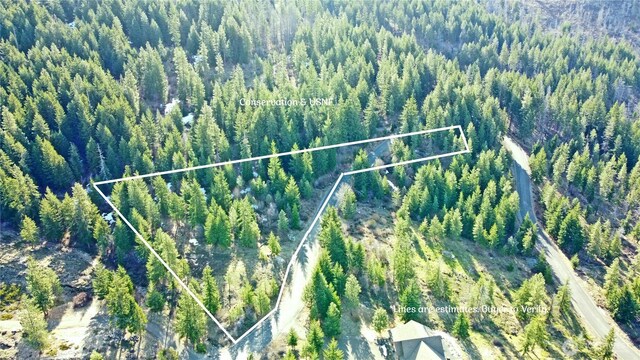 0LOTB Grandview Rd, Ronald, WA 98940 - photo 7