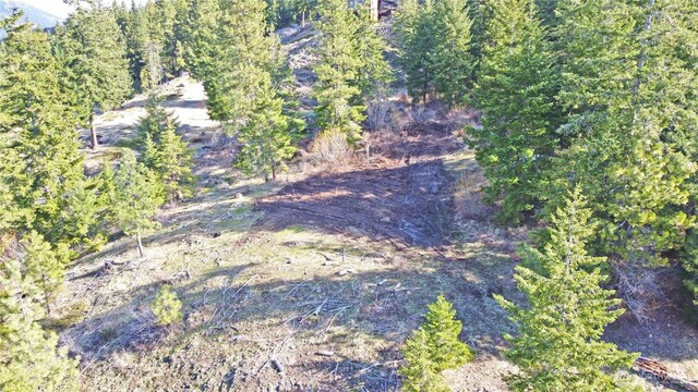 0LOTB Grandview Rd, Ronald, WA 98940 - photo 8
