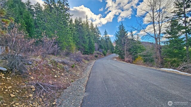 0LOTB Grandview Rd, Ronald, WA 98940 - photo 9