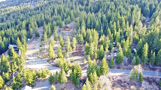 0LOTB Grandview Rd, Ronald, WA 98940 - photo 6
