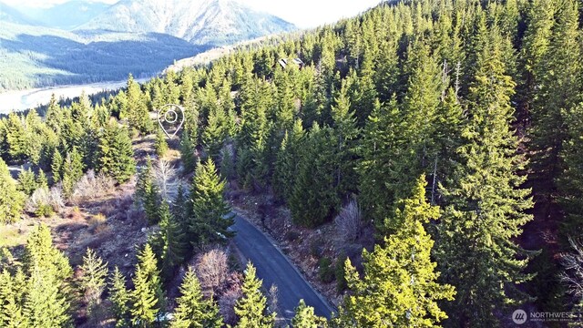 0LOTB Grandview Rd, Ronald, WA 98940 - photo 12