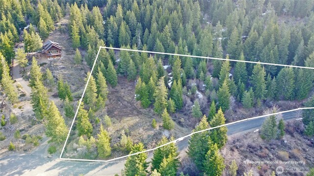 0LOTB Grandview Rd, Ronald, WA 98940 - photo 15