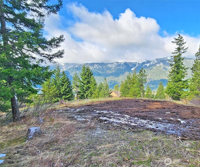 0LOTB Grandview Rd, Ronald, WA 98940 - photo 16