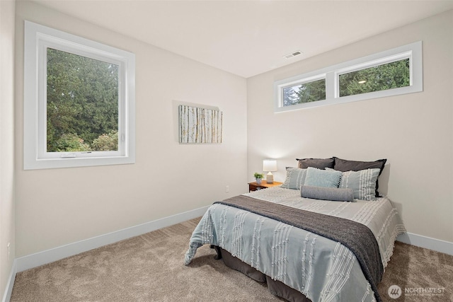 3711 S 349th Pl, Auburn, WA 98001 - bedroom featuring baseboards, visible vents, and carpet floors