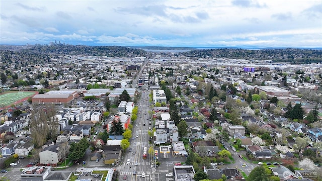 6743 15th Ave NW, Seattle, WA 98117 - photo 10