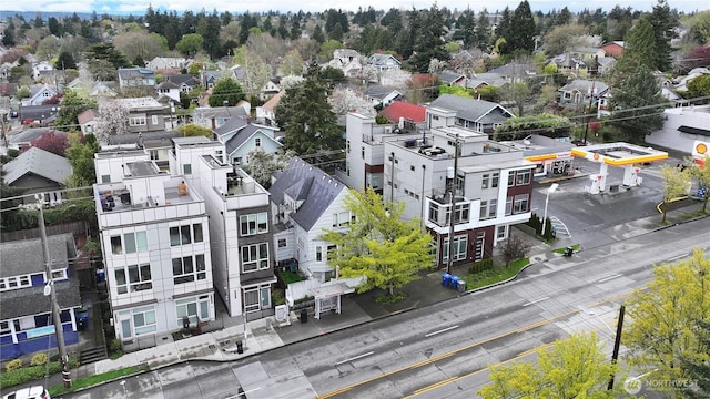 6743 15th Ave NW, Seattle, WA 98117 - photo 12