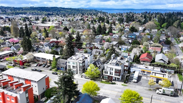 6743 15th Ave NW, Seattle, WA 98117 - photo 14