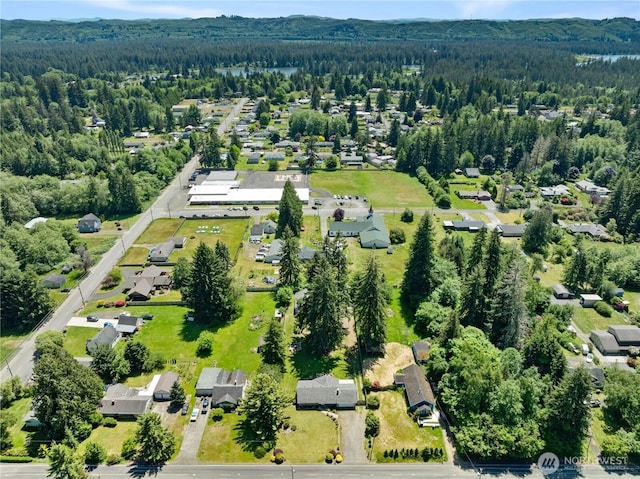 6507 Karjala Rd, Aberdeen, WA 98520 - aerial perspective of suburban area with a forest