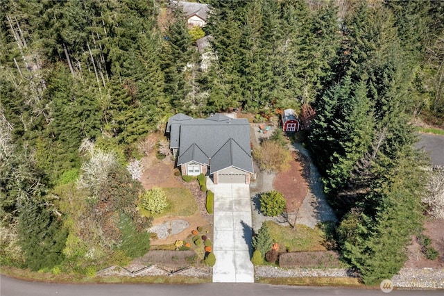 bird's eye view