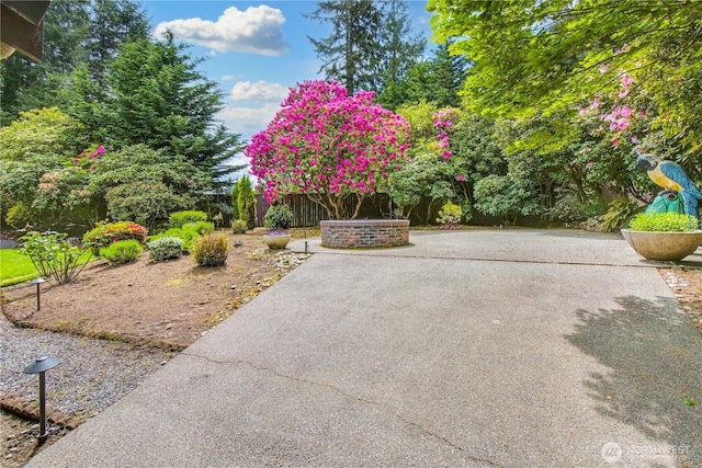 806 Alpine Dr, Everett, WA 98203 - view of patio