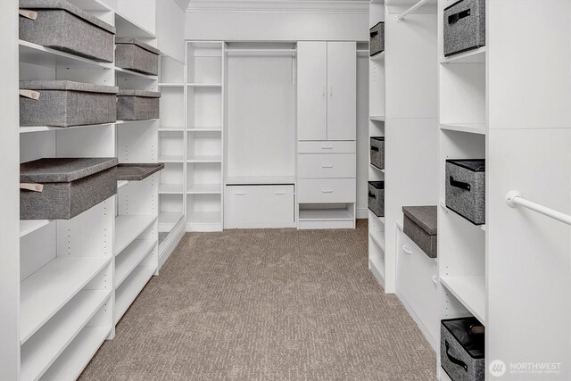 8001 Talbot Rd, Edmonds, WA 98026 - spacious closet with carpet