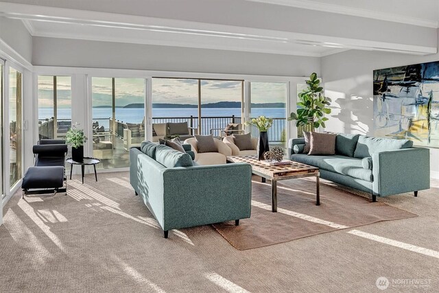 8001 Talbot Rd, Edmonds, WA 98026 - living area featuring a water view, carpet, and crown molding