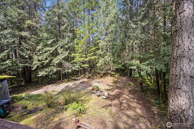 100 N Duckabush Dr W, Hoodsport, WA 98548 - view of yard featuring a forest view
