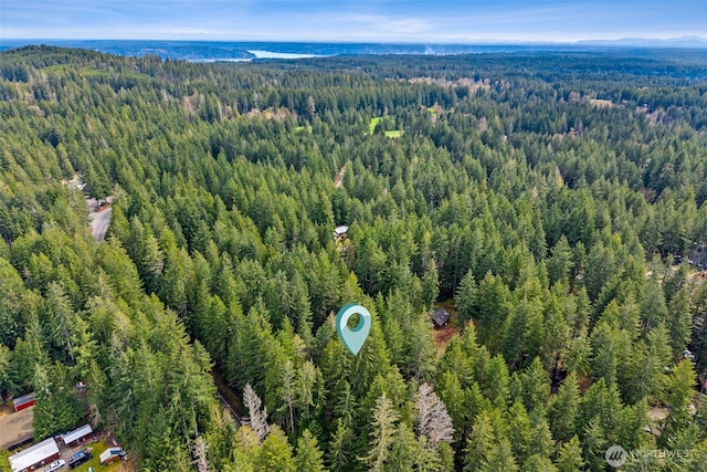 100 N Duckabush Dr W, Hoodsport, WA 98548 - bird's eye view with a wooded view