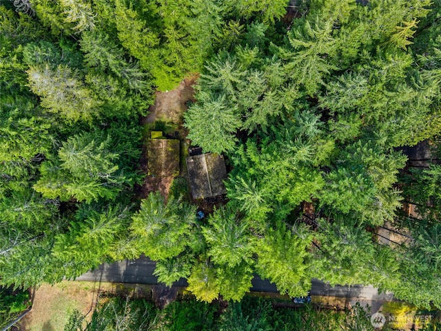 100 N Duckabush Dr W, Hoodsport, WA 98548 - bird's eye view