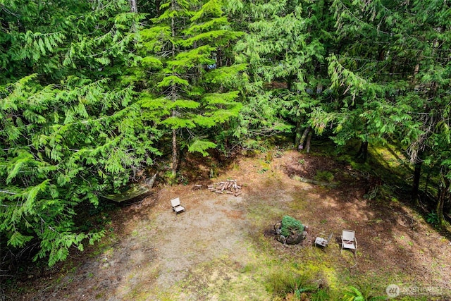 100 N Duckabush Dr W, Hoodsport, WA 98548 - view of landscape