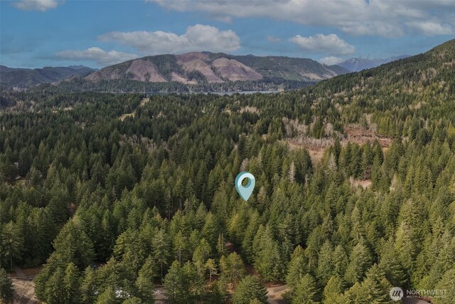 100 N Duckabush Dr W, Hoodsport, WA 98548 - view of mountain feature with a wooded view
