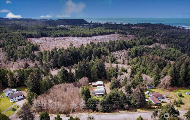 31 Ocean Beach Rd, Pacific Beach, WA 98571