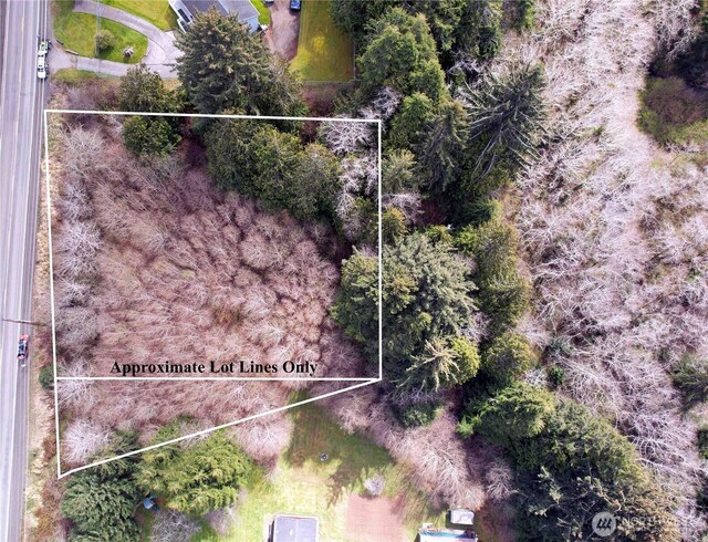 31 Ocean Beach Rd, Pacific Beach, WA 98571