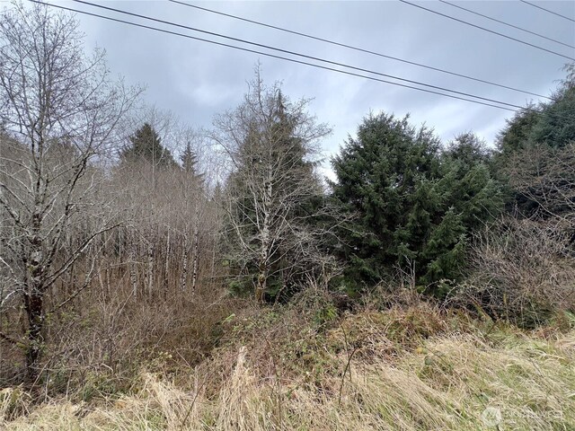 31 Ocean Beach Rd, Pacific Beach, WA 98571