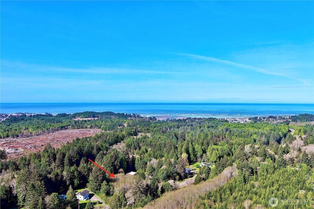 31 Ocean Beach Rd, Pacific Beach, WA 98571
