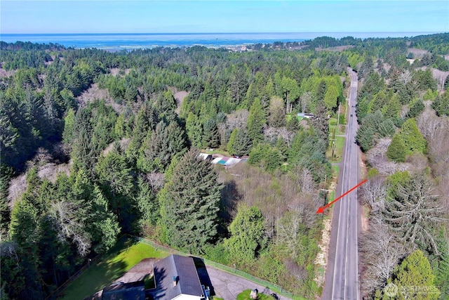 31 Ocean Beach Rd, Pacific Beach, WA 98571